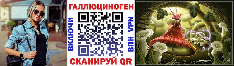 Галлюциногенные грибы прущие грибы  Венёв 